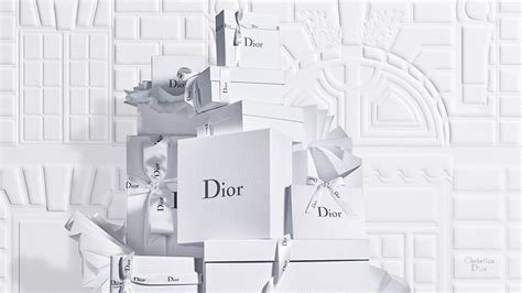 dior france online shopping|christian dior official website france.